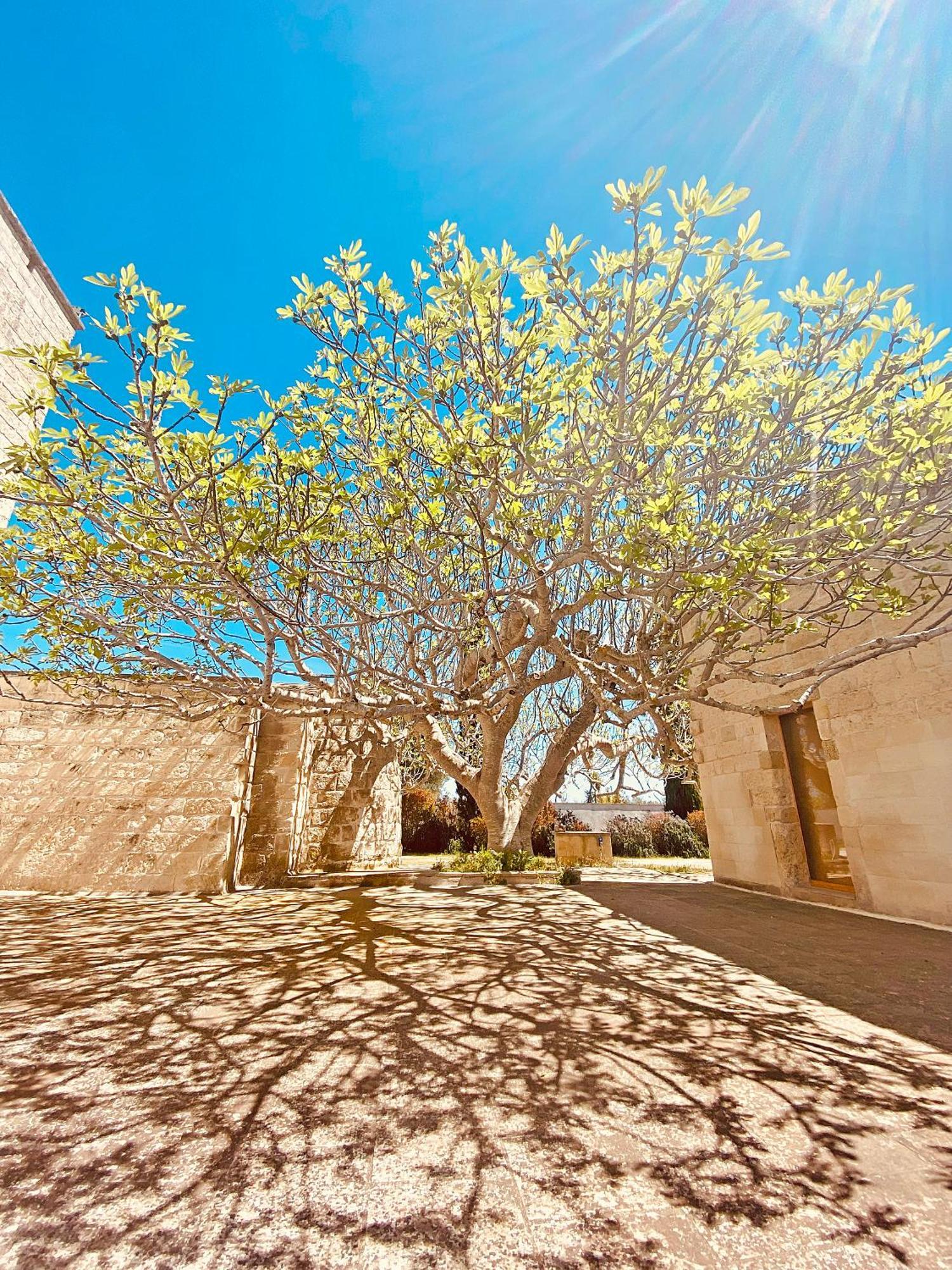Masseria La Millenaria San Foca Bagian luar foto