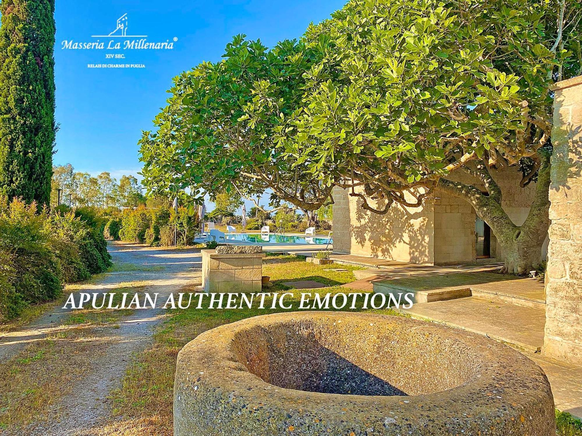 Masseria La Millenaria San Foca Bagian luar foto
